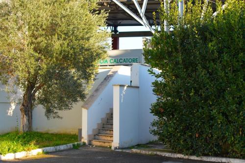 Centro Calcatore Domani